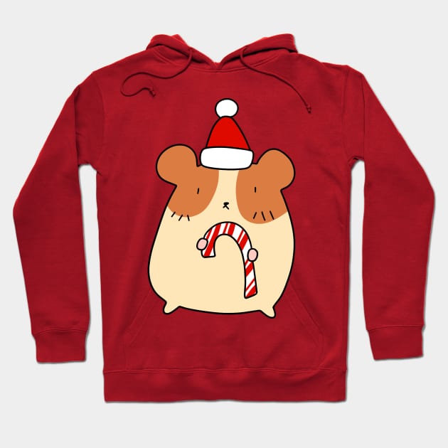 Candy Cane Hamster Hoodie by saradaboru